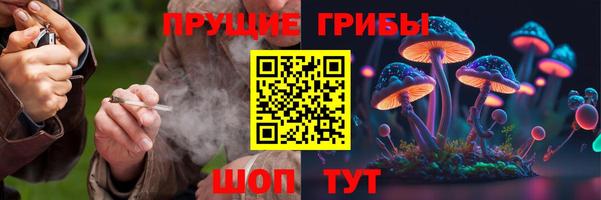 Волгоград  Галлюциногенные грибы GOLDEN TEACHER  Вход с VPN  Псилоцибиновые грибы Psilocybine cubensis 